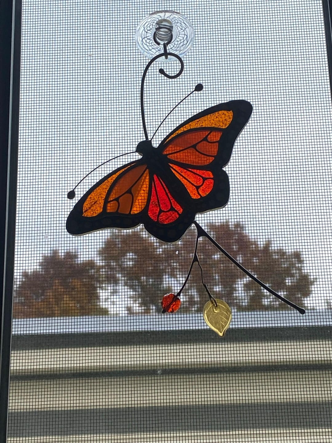 Customer photo review of Monarch Butterfly Top View