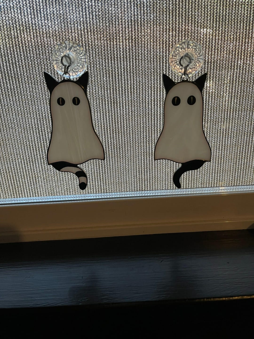 Customer photo review of Cat-Ghosts