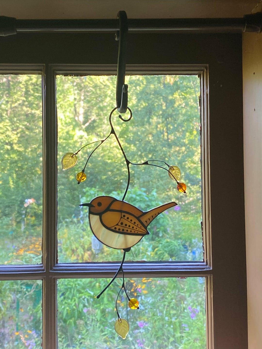 Customer photo review of Carolina Wren