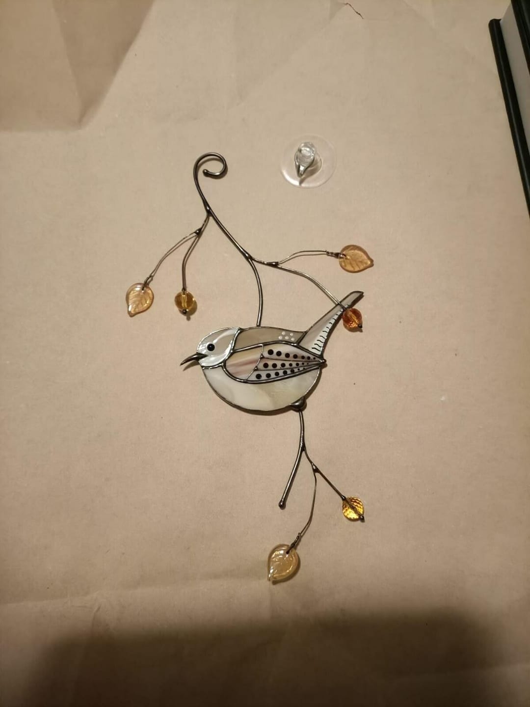 Customer photo review of Carolina Wren