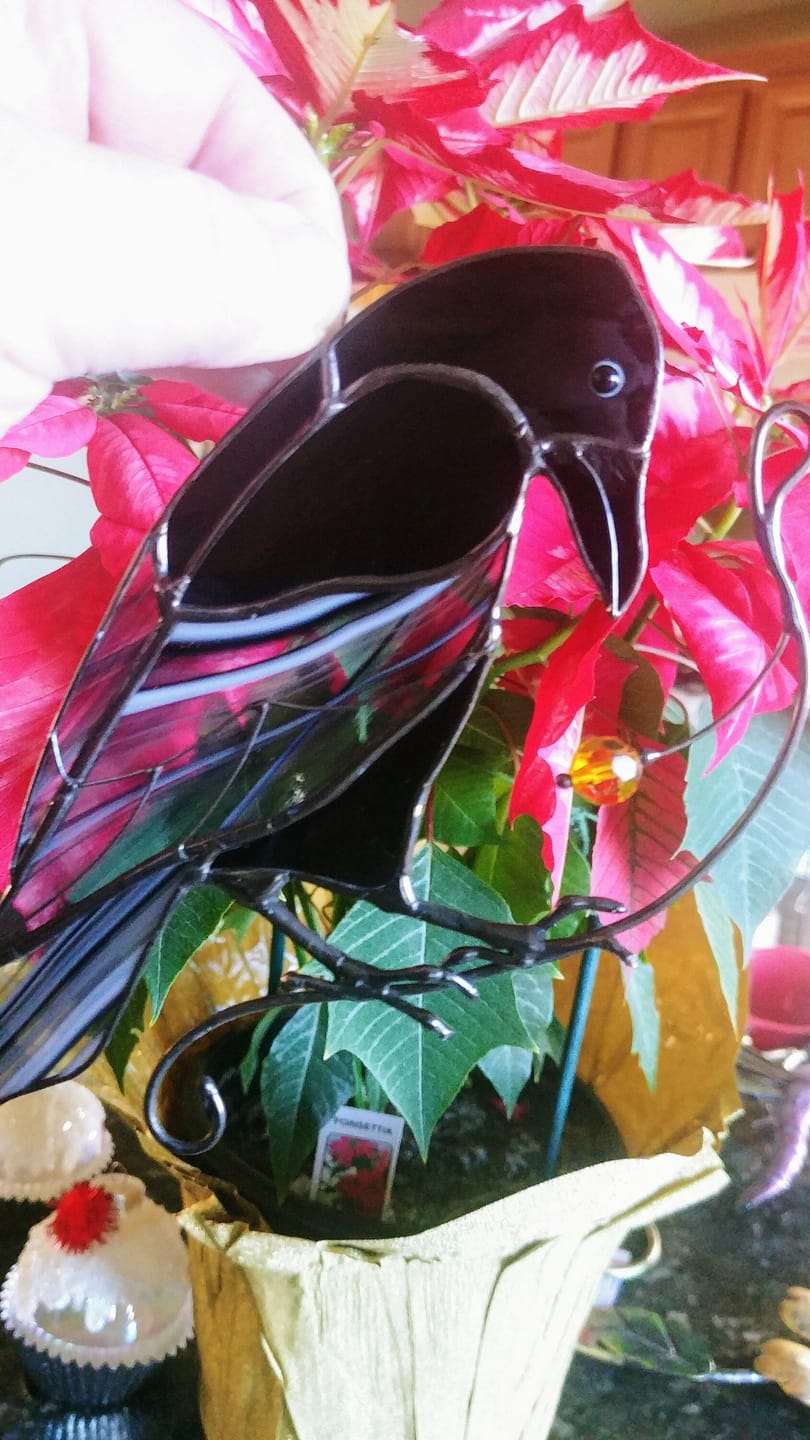 Customer photo review of Raven