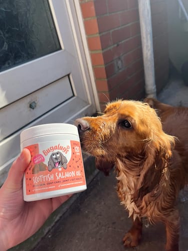 Customer photo review of Scottish Salmon Oil Supplement Chews for Dogs
