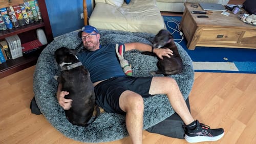 Customer photo review of PaWz Premium Calming Pet Bed with Removable Cover