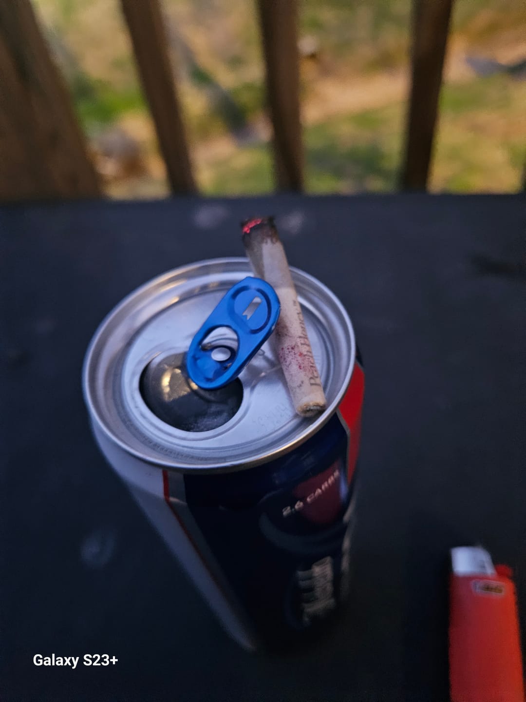 Customer photo review of Taste