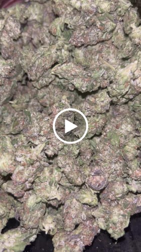 Customer video review of Super Lemon Haze THCA Flower