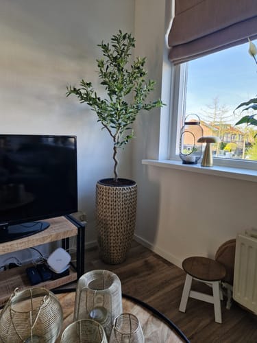 Customer photo review of Kunst Olijfboom 120cm