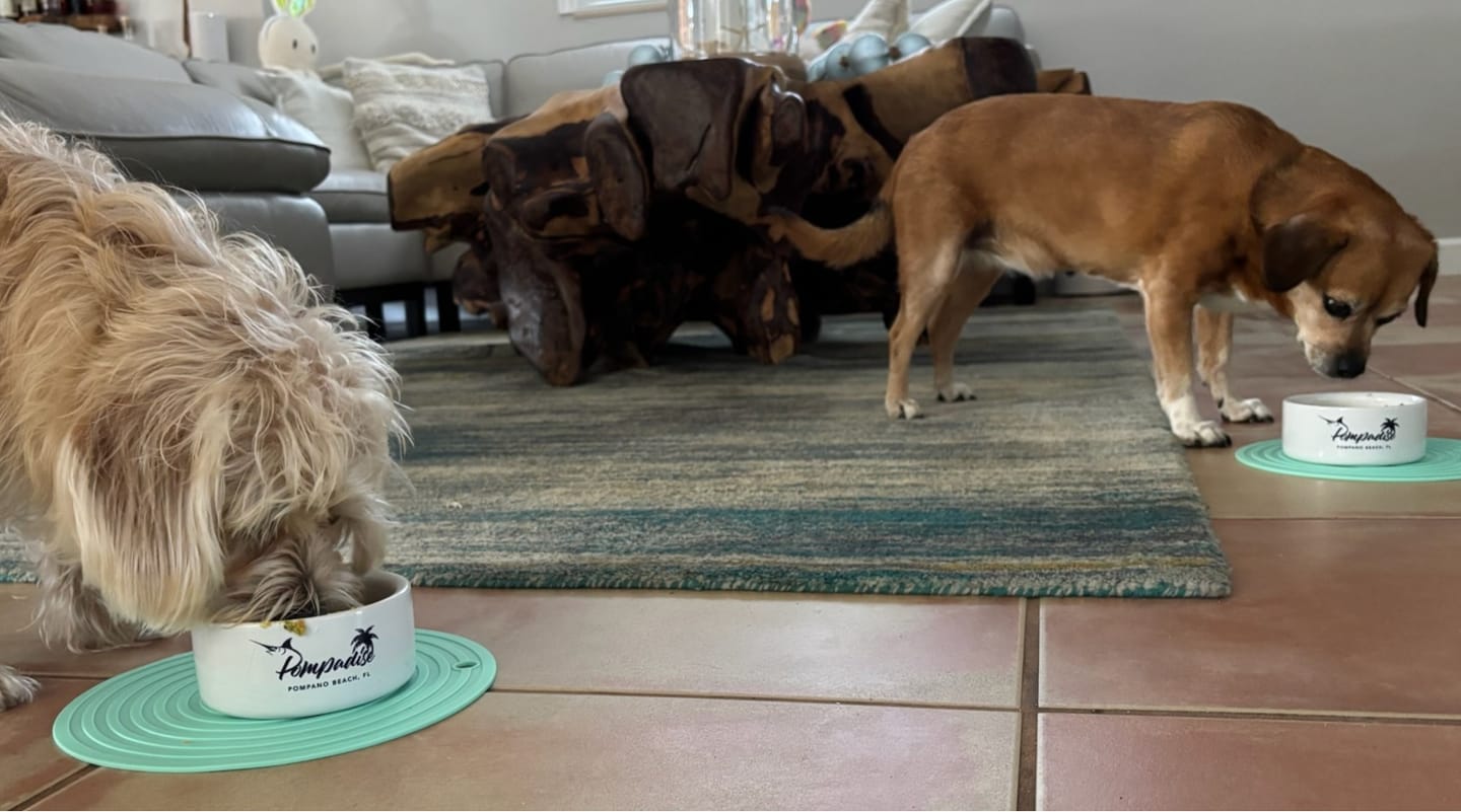 Customer photo review of Custom Pet Bowls