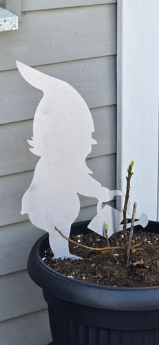 Customer photo review of Gartenstecker Gartenzwerg mit Gießkanne