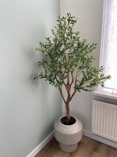 Customer photo review of Kunst Olijfboom 150cm
