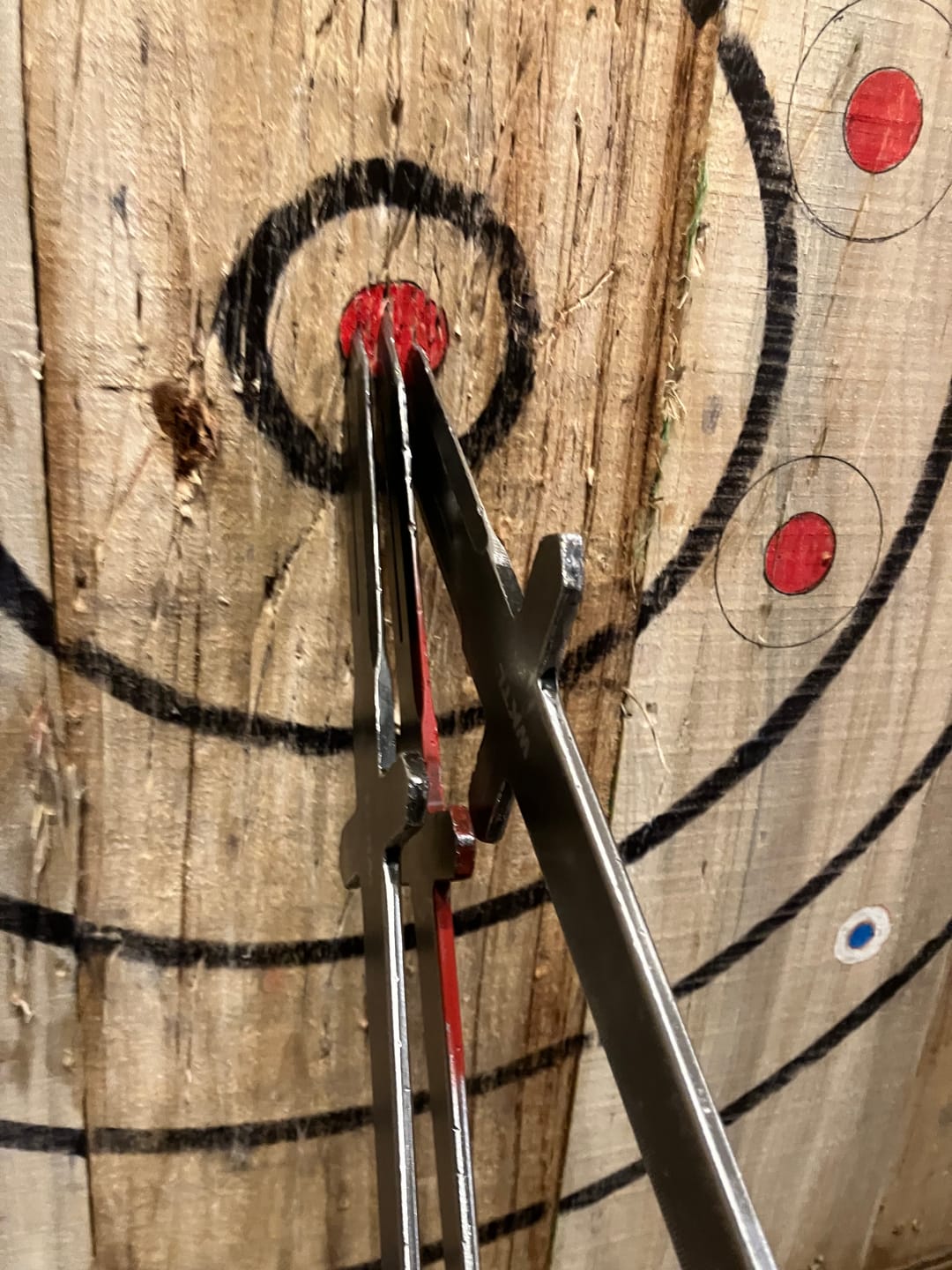 Customer photo review of Perfect 6