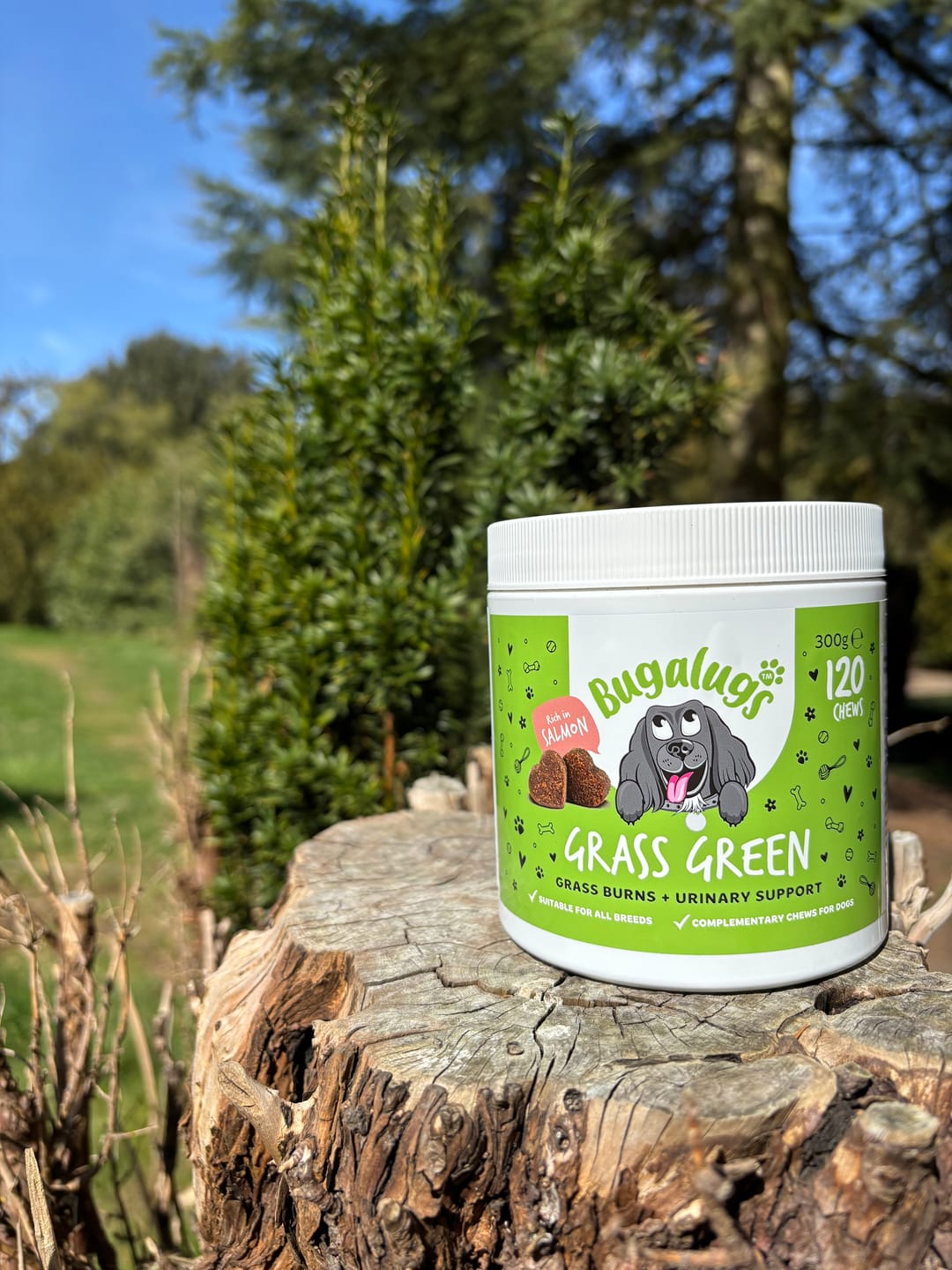 Customer photo review of Grass Green Supplement Chews for Dogs