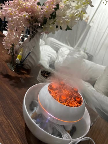 Customer photo review of Aroma Diffuser Humidifier Night Light Mushroom Mist Dynamic Remote Control Timing