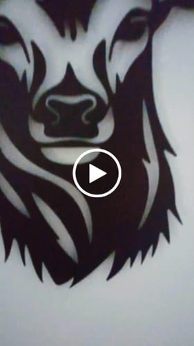 Customer video review of Décoration Murale en Métal - Tête de cerf