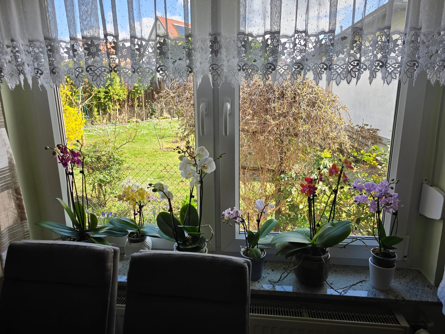 Customer photo review of Große Two of Us Farbmix im 3er Set mit 3 Rispen