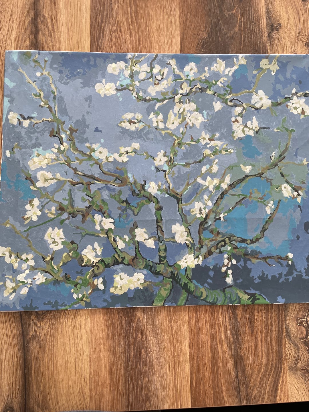 Customer photo review of Malen nach Zahlen - Mandelblüte - Vincent van Gogh