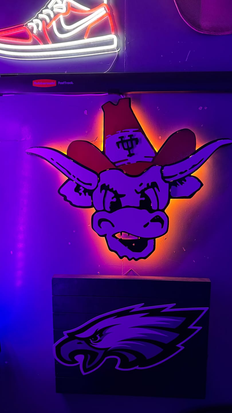 Customer photo review of Texas Longhorns VAULT BEVO 3D Vintage Metal Wall Art