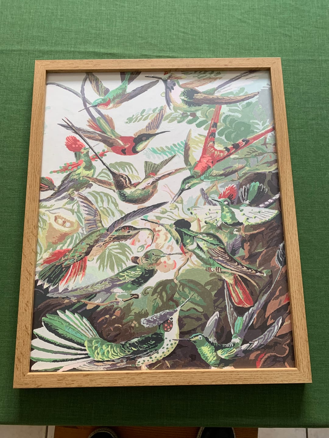 Customer photo review of Malen nach Zahlen - Trochilidae–Kolibris von Ernst Haeckel