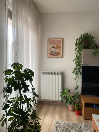 Customer photo review of Ilustración "Dame flores, vino y rock & roll" SIN MARCO