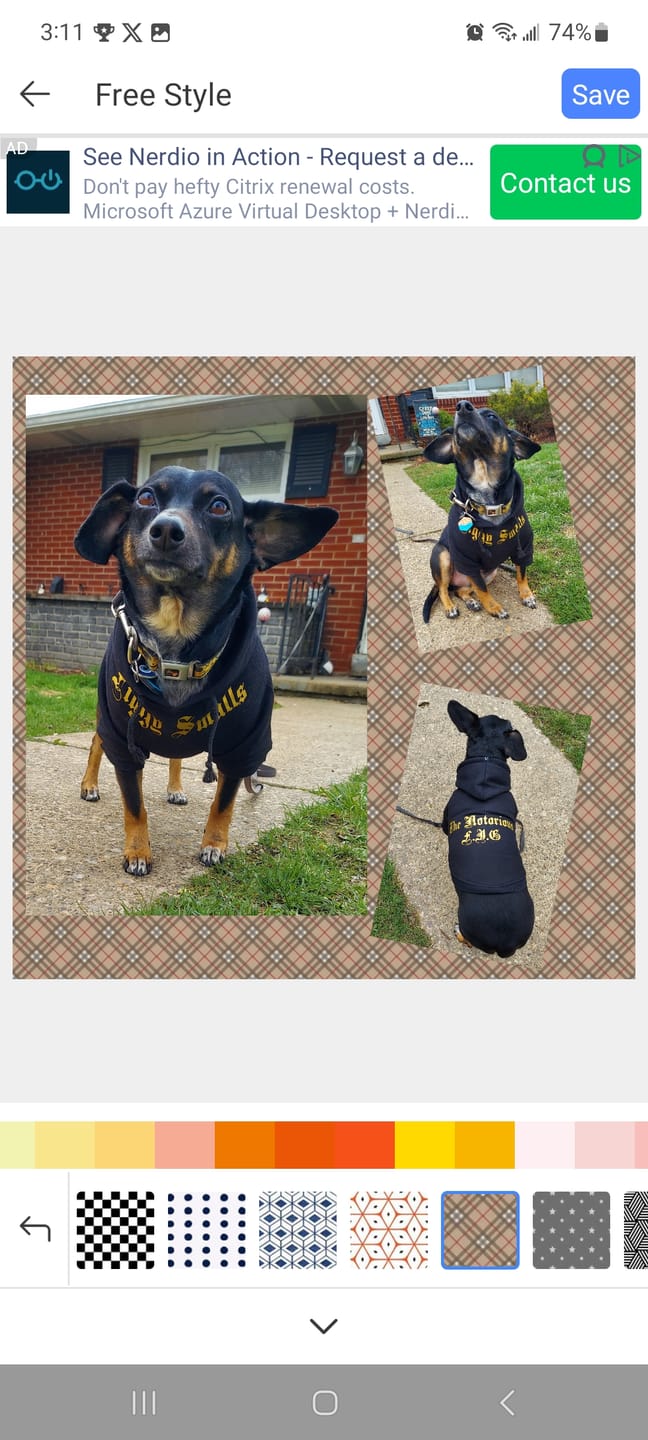 Customer photo review of Gangsta Yapper Dog Hoodie - Personalised