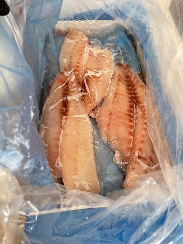 Customer photo review of 5KG Snapper Fillets (Skinned and Boned) Frozen