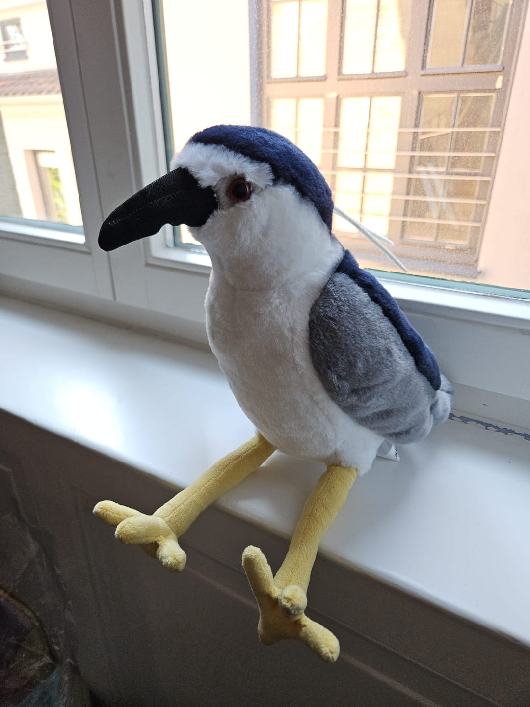 Customer photo review of Night Herron Bird Soft Stuffed Plush Toy