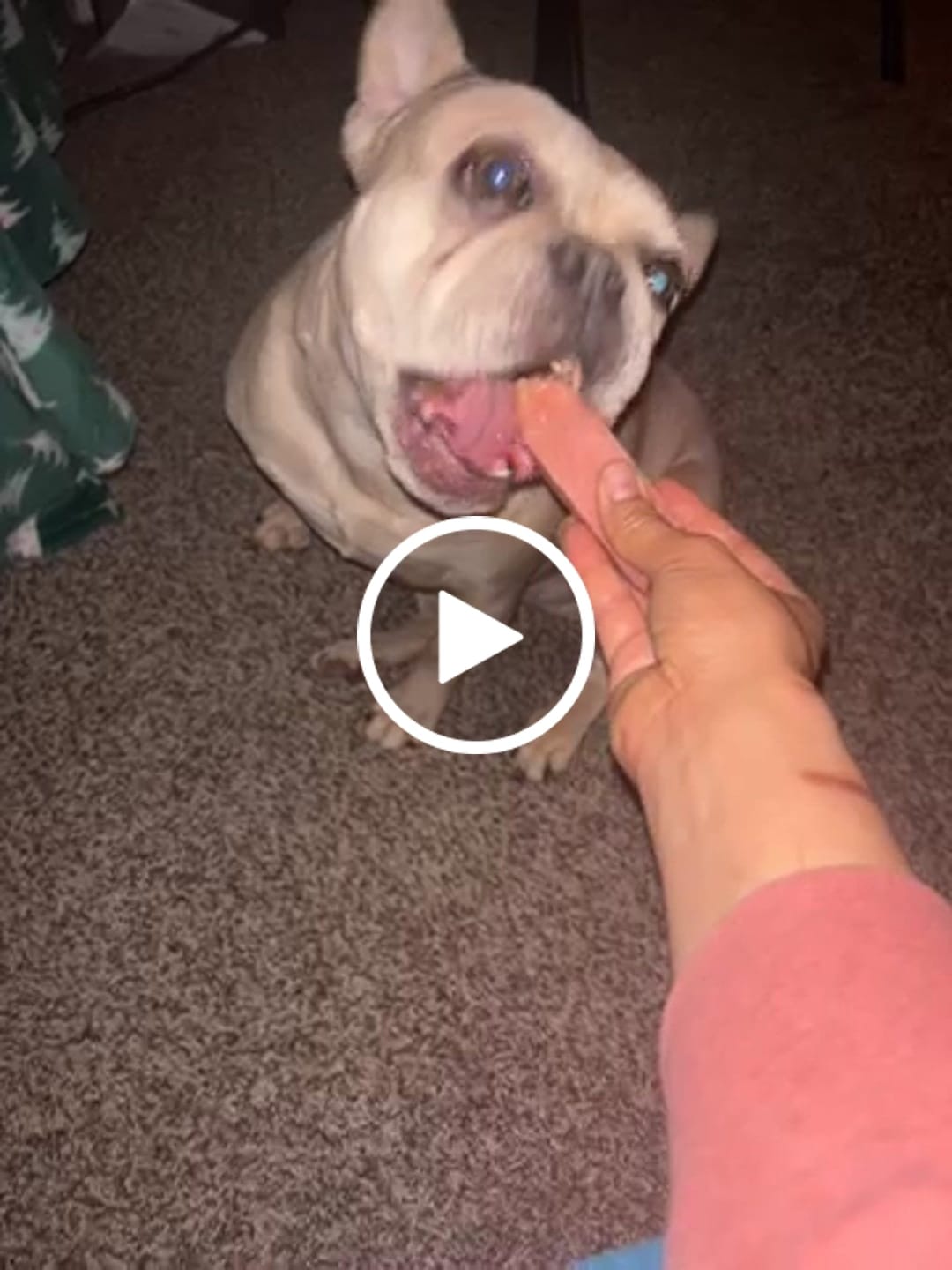 Customer video review of Strawberry Himalayan Yak Chew (MEDIUM)