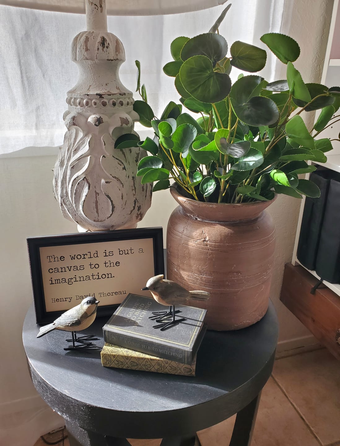 Customer photo review of Dexter Line Pattern Pot