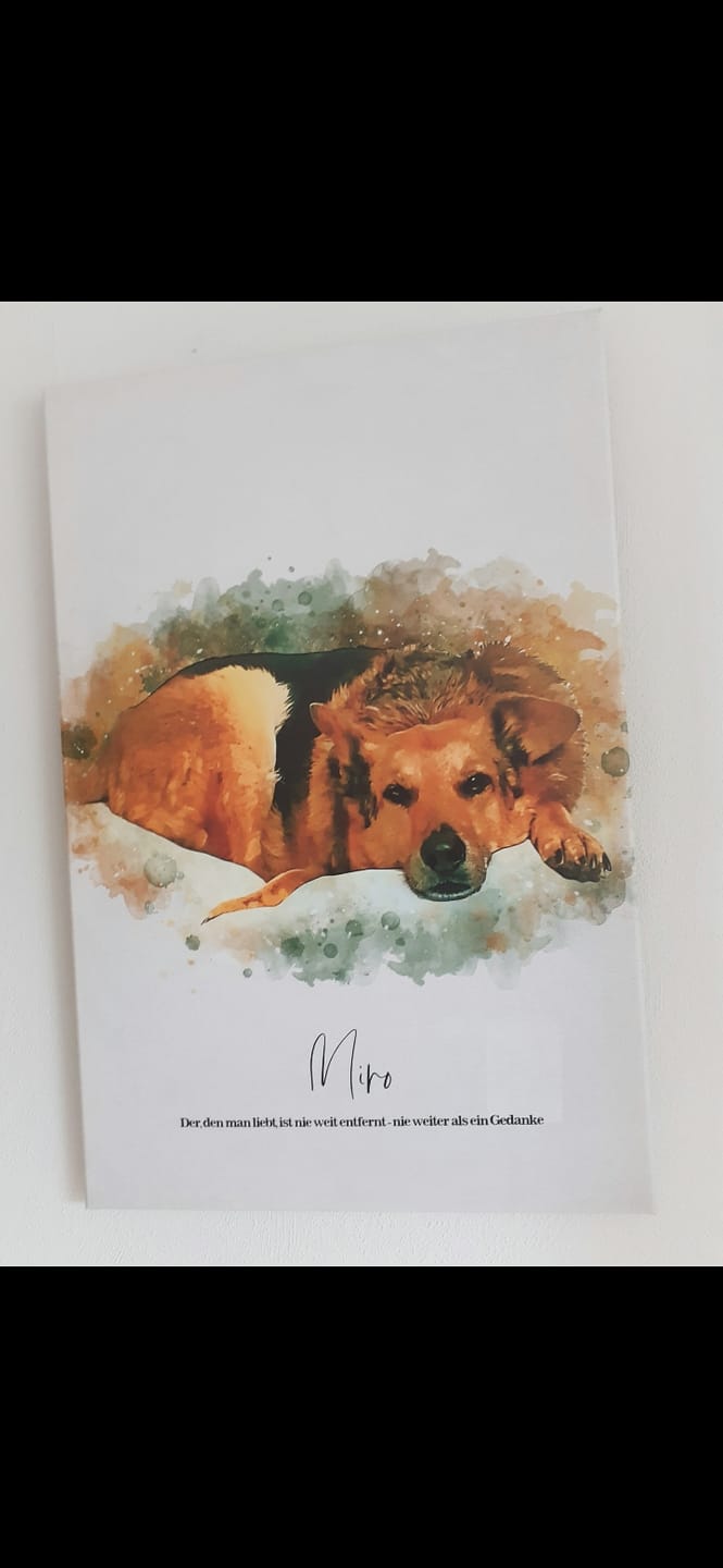 Customer photo review of Dein Hund als Aquarell Tierportrait | Geschenk für Hundebesitzer