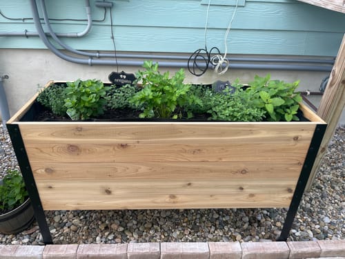 Customer photo review of 18" x 48" Raised Garden Bed - 30" TALL