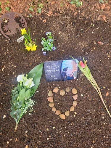 Customer photo review of Hunde Gedenktafel mit Foto & Spruch (UV- & Wetterfest)