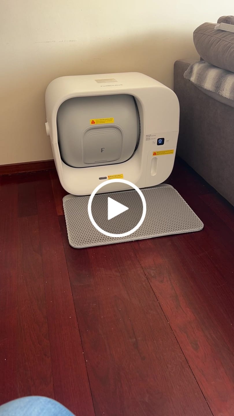 Customer video review of Furbulous Box