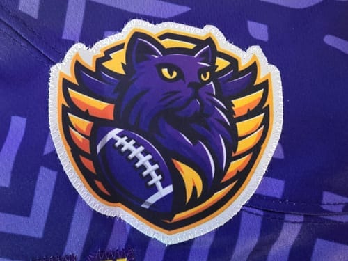 Customer photo review of Custom Purple Black-Old Gold Drift Fashion Mesh Authentic Football Jersey