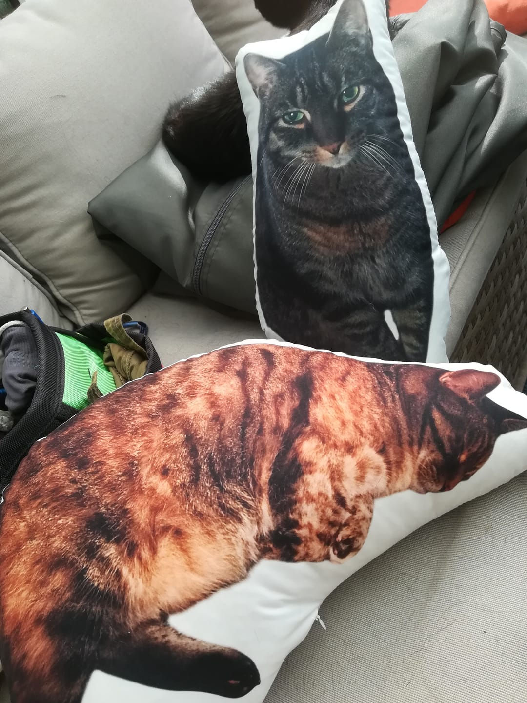 Customer photo review of Personalisiertes Katzenkissen