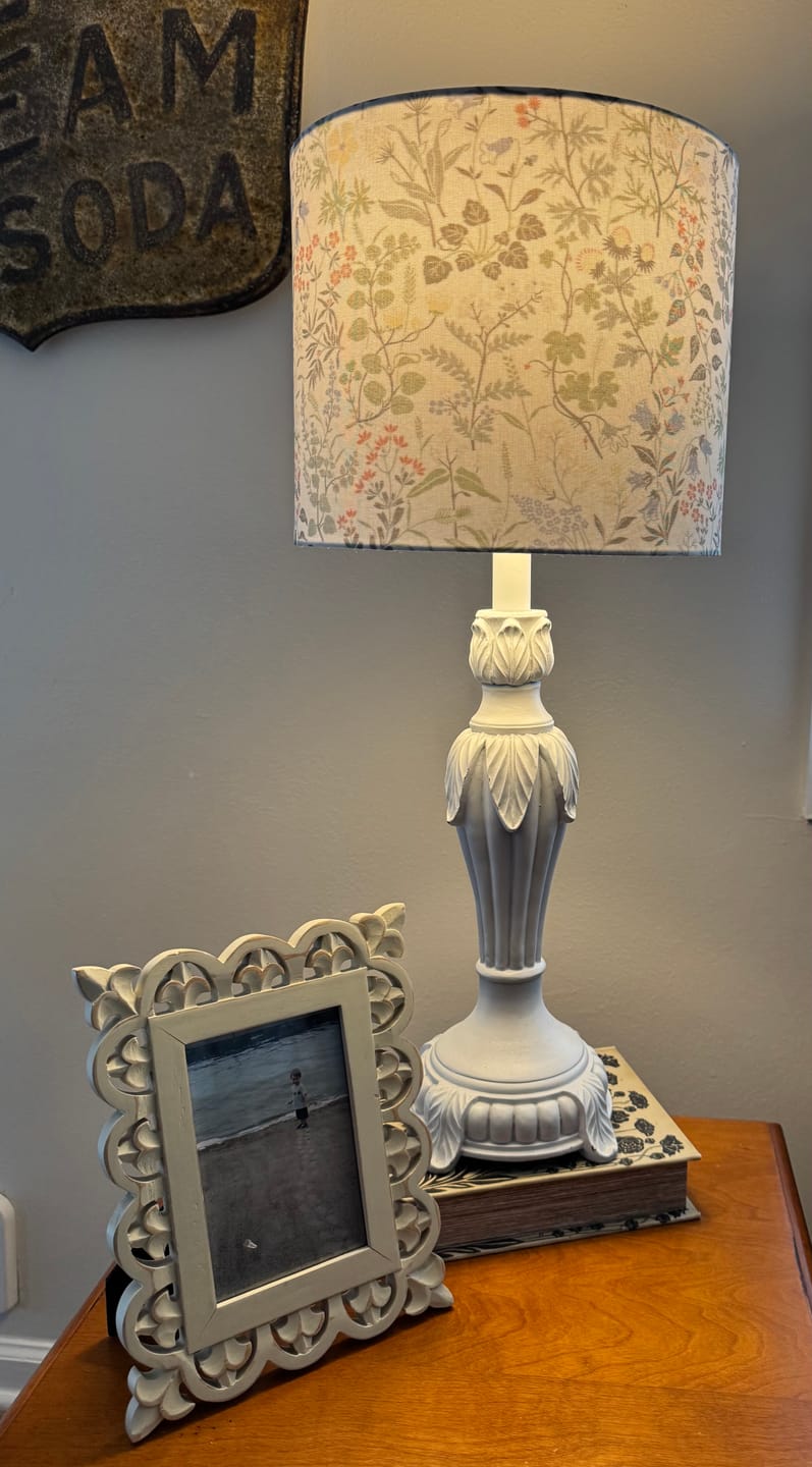 Customer photo review of One Step Paint - Dearborne