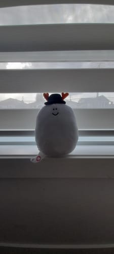 Customer photo review of Obby Creator - Maro Egg Plushie
