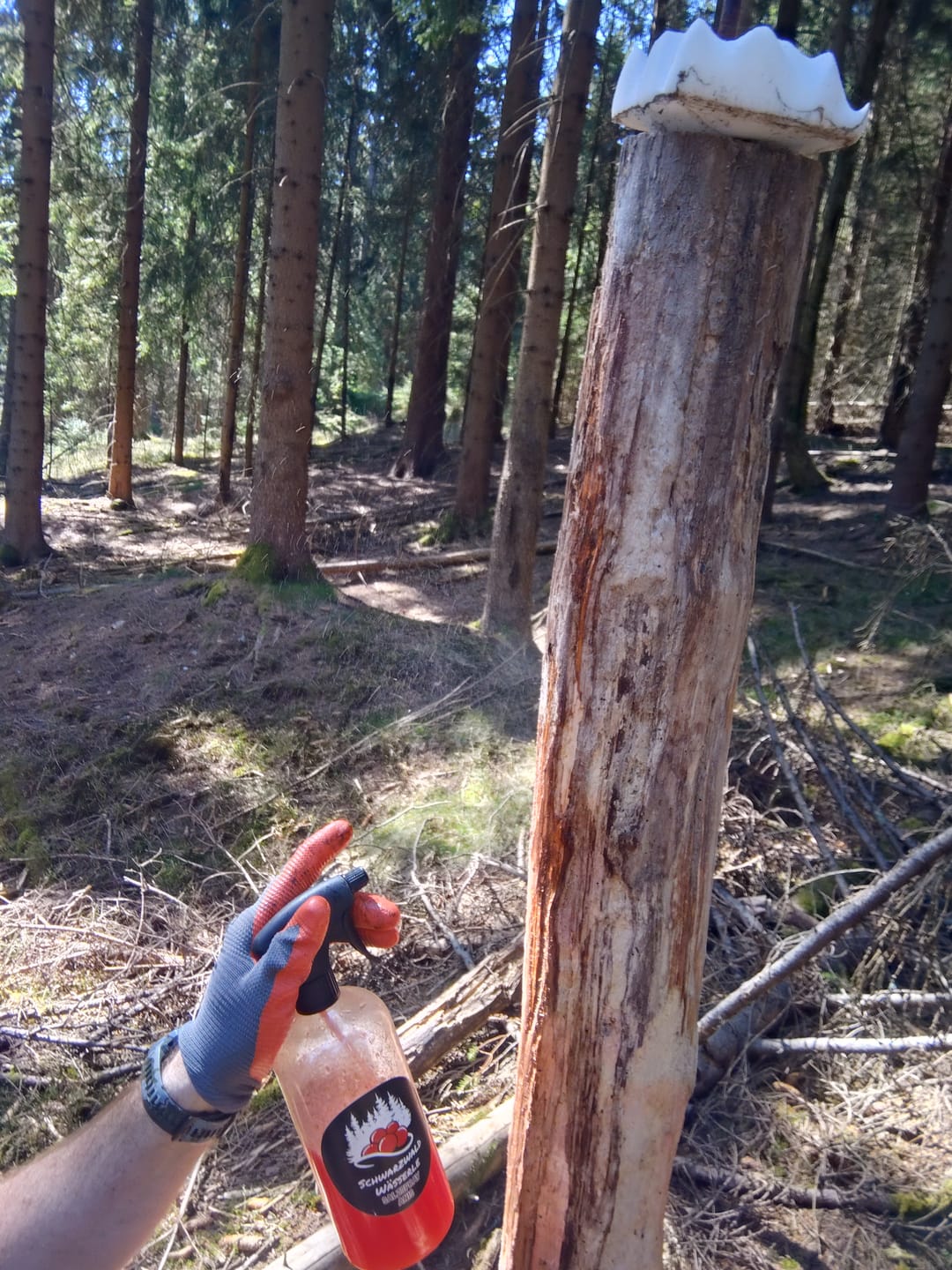 Customer photo review of Salzspray Apfel - Lockmittel Rehwild, Schwarzwild, Rotwild und Damwild