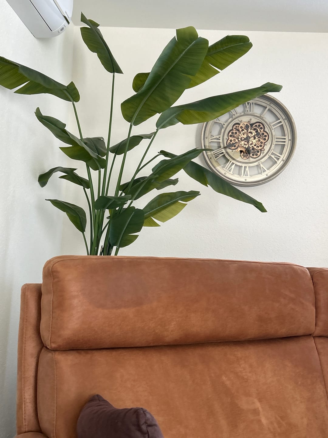 Customer photo review of Strelitzia Kunstplant 180cm Deluxe