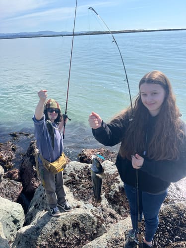 Customer photo review of Fisherman's Life® Jiggy Jigs 20g, 30g, 40g 50g (Four Color Variations)