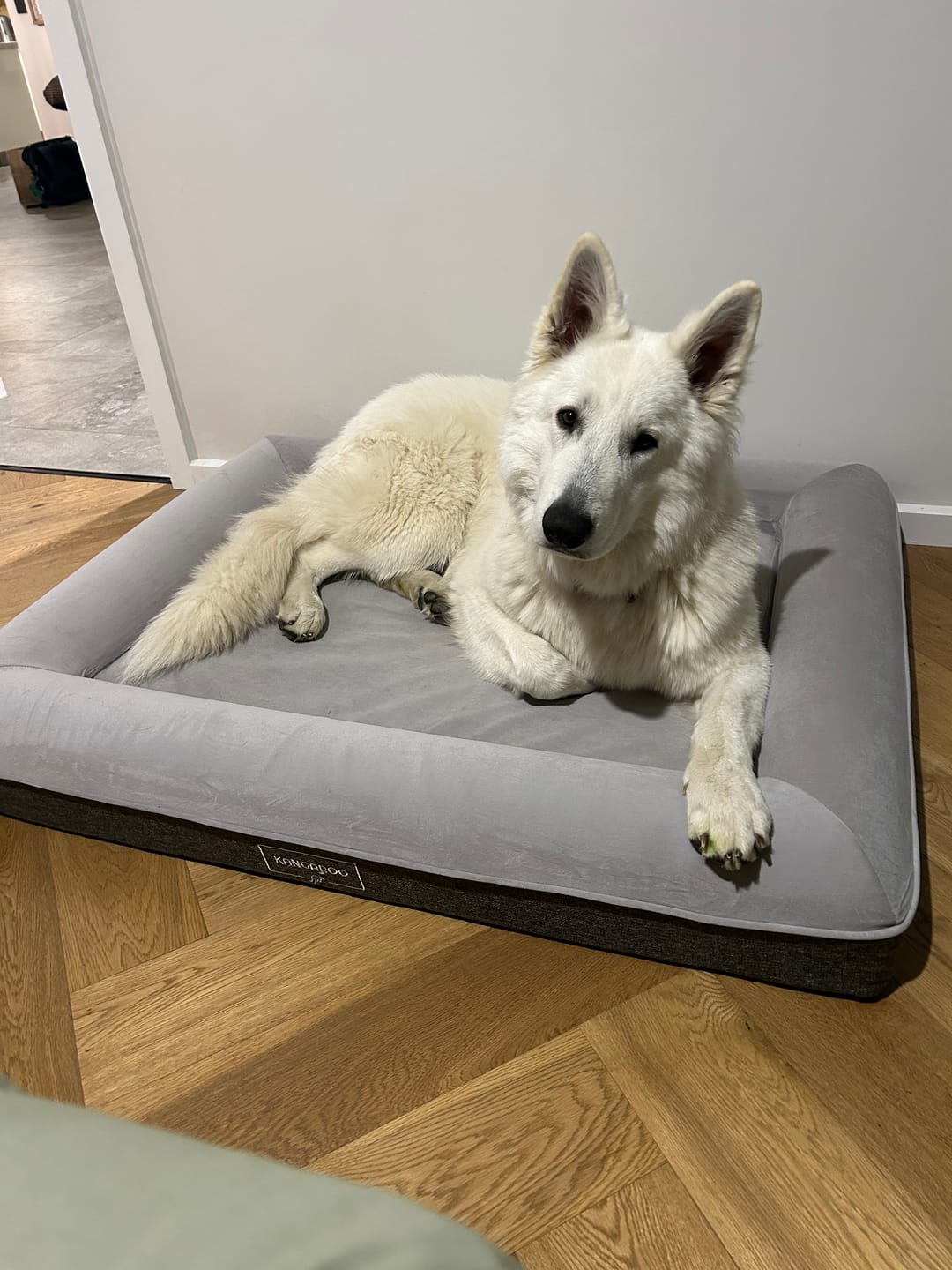 Customer photo review of Kangaroo Bed - Large