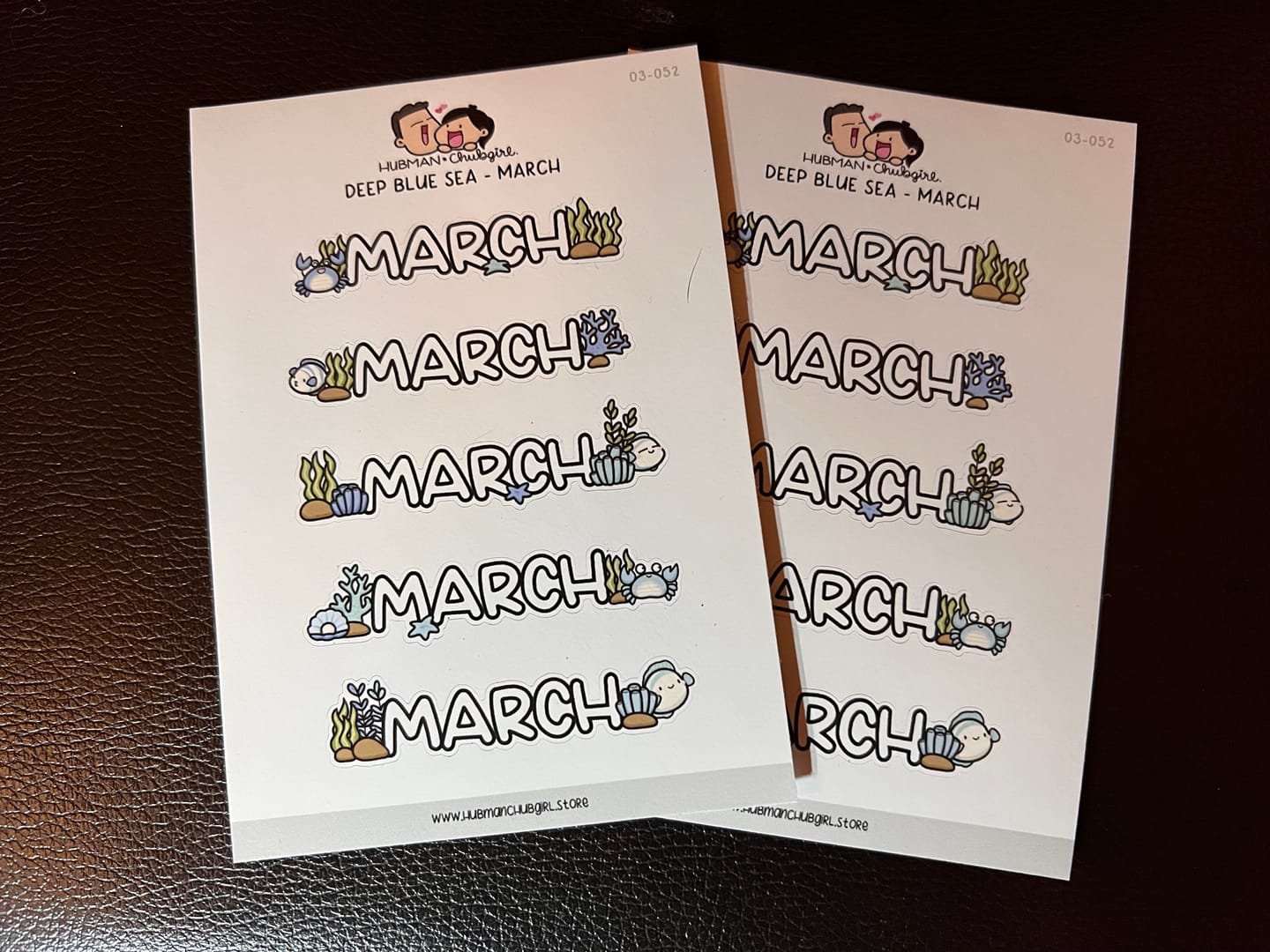 Customer photo review of Deep Blue Sea - Months 2 Planner Stickers