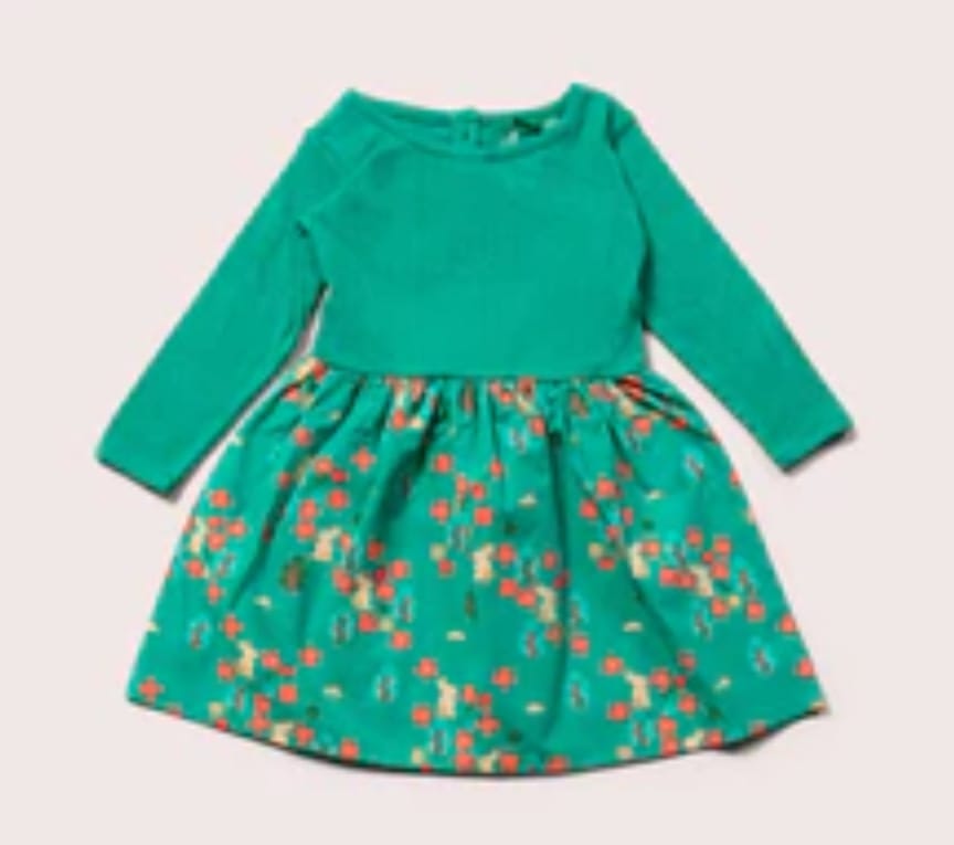 Customer photo review of Forest Walk Long Sleeve Twirler Dress