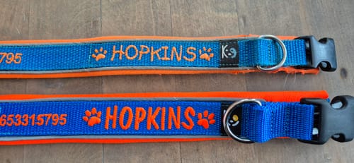 Customer photo review of Neoprene Dog Collar with Name - M | 4Kyon