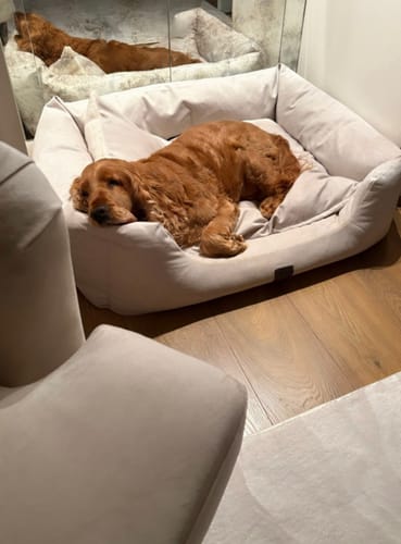 Customer photo review of The Slumber Tray Bed - Ivory