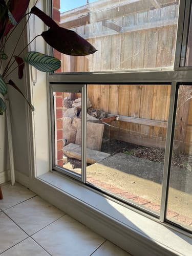 Customer photo review of Installation Service: Glass - Plexiglass