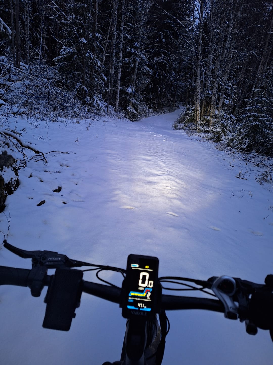Customer photo review of Vakole CO26 750W 26" Fat Bike 768Wh Full Suspension E-Mountain Bike 48V 16Ah Battery