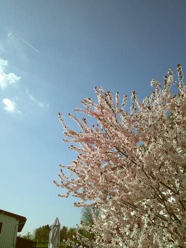 Customer photo review of NUVINT - Digitalkamera