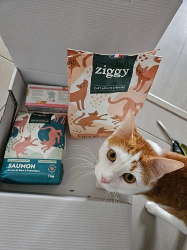 Avis photo d'un client sur Croquettes Chat Stérilisé Sans Céréales - Poulet