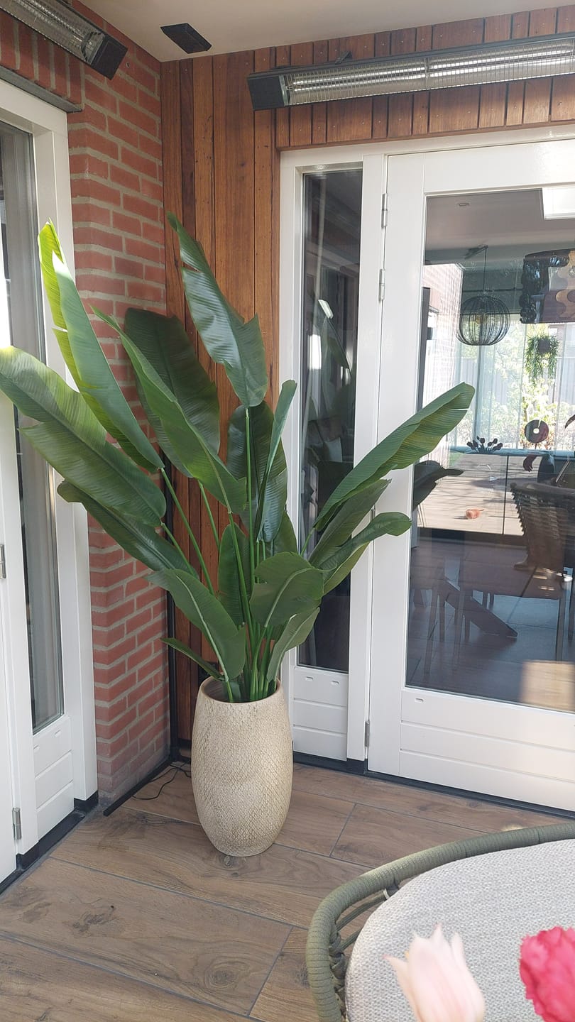 Customer photo review of Strelitzia Kunstplant 180cm Deluxe