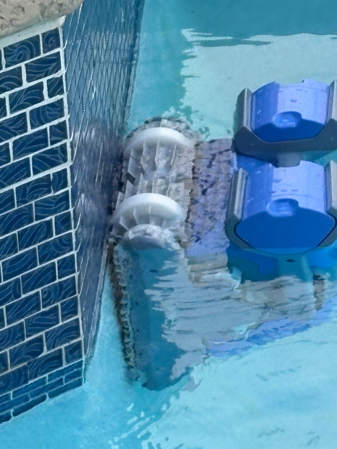 Customer photo review of Maytronics Dolphin M400 Robotic Pool Cleaner