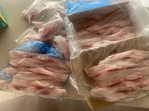 Customer photo review of 5KG Snapper Fillets (Skinned and Boned) Frozen